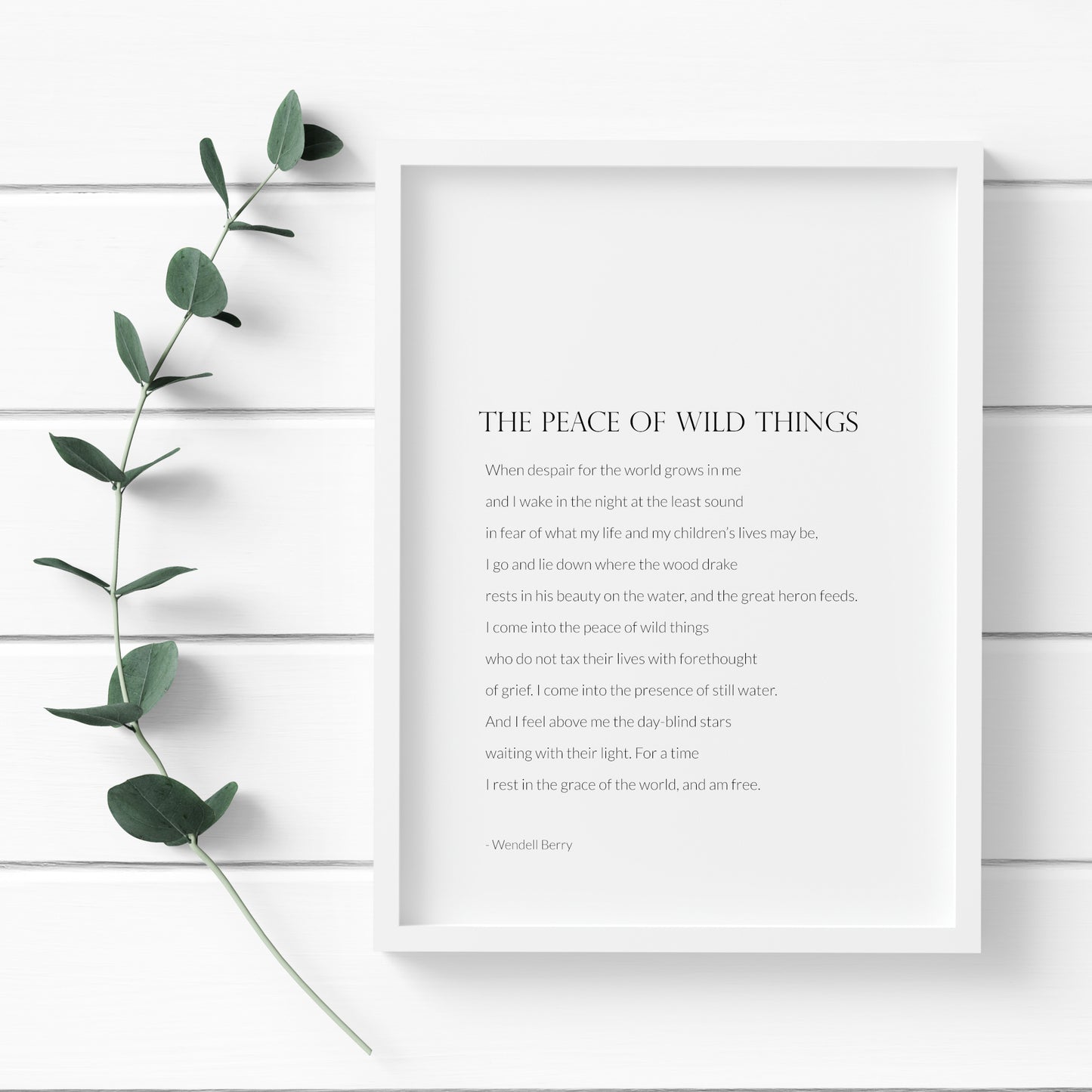 The Peace Of Wild Things by Wendell Berry